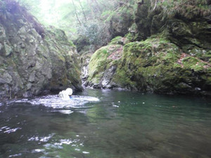 Photo_6