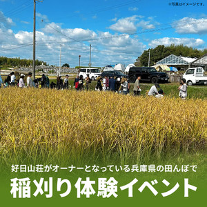 2510riceharvesting_main_img
