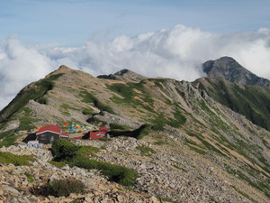 Photo_2