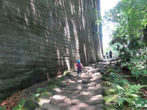 Photo_7