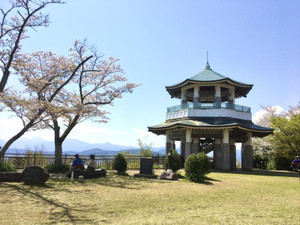 Photo_2