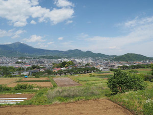 Photo_3