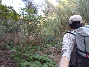 Img20260126122531 Img20260126122531