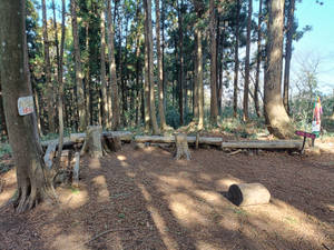 Img20260126125256 Img20260126125256