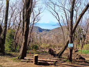 Img20260126125659 Img20260126125659