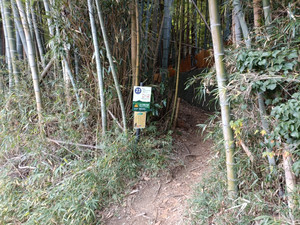 Img20260126131622 Img20260126131622