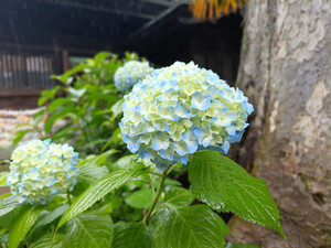 Img20260522124313 Img20260522124313
