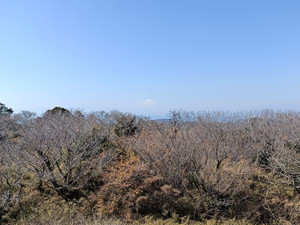 Img20260221123933
