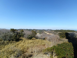 Img20260221123945