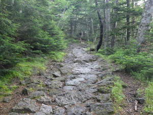 Photo_2 Photo_2