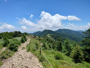 Photo Photo