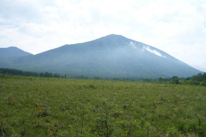 Photo_2
