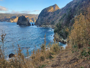 Photo_6