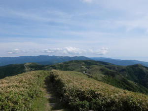 Photo_7