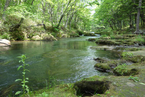 Photo_9