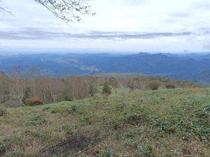 Img20261006112534