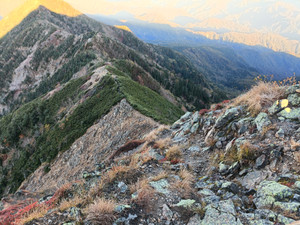 Img20261007060410