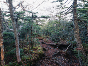 Img20261007064814