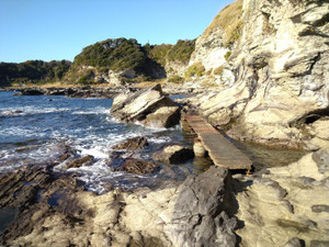 Photo_4