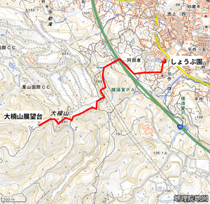 Photo_10