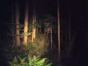 Photo_5