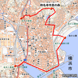 Photo_8