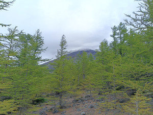Img20260903113959