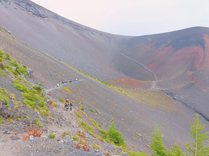 Img20260903123927