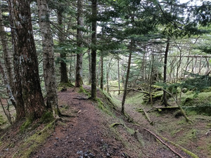 Img20260903160844
