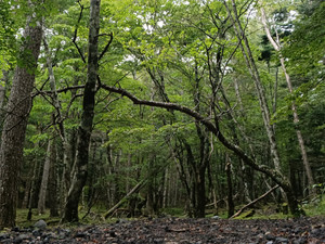 Img20260903162515