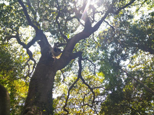Photo_4