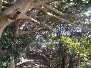 Photo_6
