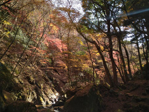 Photo_5